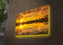 Wallity Lienzo Decorativo Iluminado con LEDs 45 x 70 cm Multicolor